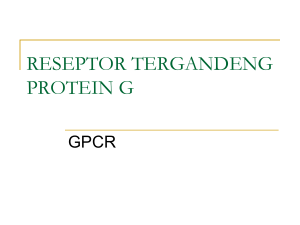 G-Protein Coupled Reseptor (GPCR)