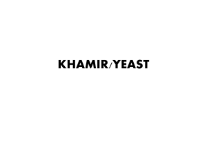 khamir - WordPress.com