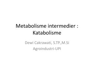Metabolisme intermedier : Katabolisme