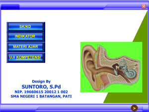 pendengaran manusia terbagi menjadi telinga luar, telinga