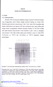 BAB IV HASIL DAN PEMBAHASAN 4.1. Hasil 4.1.1. Ekstraksi DNA