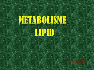 Penghitungan energi hasil metabolisme lipid