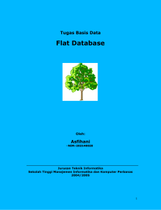Flat Database