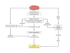 Vasokonstriksi Reaksi trombosit dan pembentukan sumbat