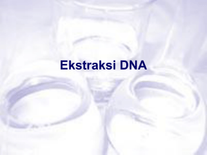 Ekstraksi DNA