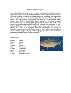 Ikan kembung (Rastreliger kanagurta) yang merupakan spesies