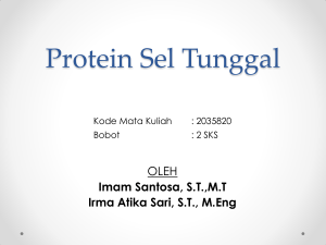 Protein Sel Tunggal