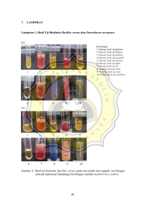 7. LAMPIRAN Lampiran 1. Hasil Uji Biokimia