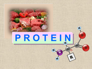 10 PROTEIN - e-learning 7 Des 15