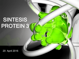 Lect_05 Sintesis Protein 3 2016