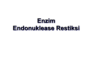 enzim endonuklease restriksi kul 3