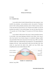 5 BAB 2 TINJAUAN PUSTAKA 2.1. Lensa 2.1.1