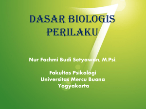 dasar biologis perilaku - Universitas Mercu Buana Yogyakarta