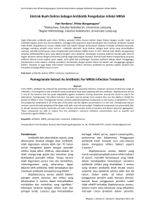 Ekstrak Buah Delima Sebagai Antibiotik Pengobatan Infeksi MRSA