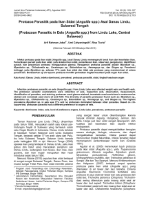 Protozoa Parasitik pada Ikan Sidat (Anguilla spp.) Asal Danau Lindu