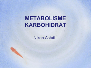 metabolisme energi