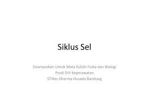 Siklus sel - STIKes Dharma Husada Bandung