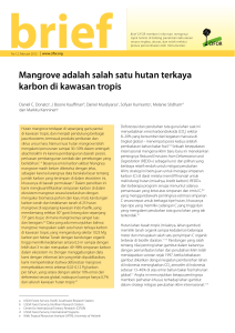 Mangrove adalah salah satu hutan terkaya karbon di kawasan tropis