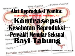 Menstruasi dan kehamilan