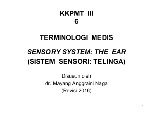 SENSORY SYSTEM: THE EAR (TELINGA)