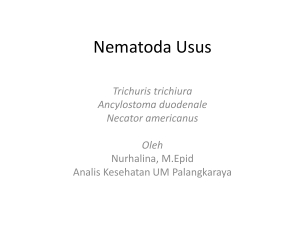Nematoda Usus - UM Palangkaraya