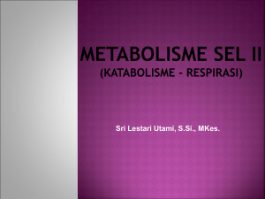 presentasi kuliah III-Metabolisme Sel II (Respirasi)
