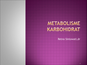 metabolisme karbohidrat