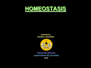 homeostasis 11042010