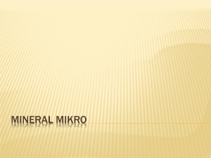 Mineral Mikro