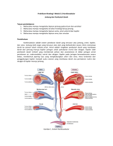 Praktikum Histologi I Modul 2.3 Kardiovaskular Jantung dan