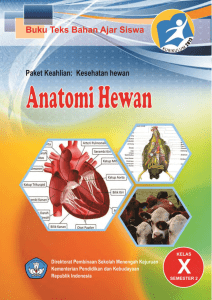 Kelas 10 SMK Anatomi Hewan 2