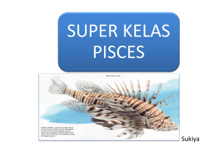 23-super-kelas-pisces