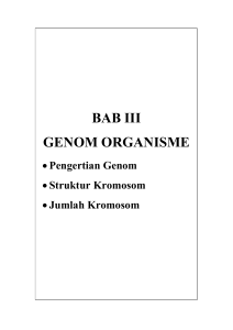 Gambar 3.1. Genom/kromosom prokariot