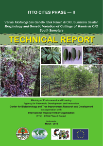 technical report