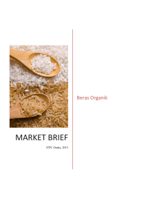 Market Brief