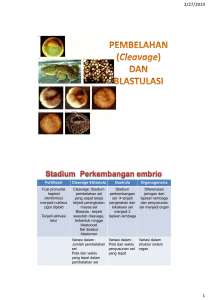 Fertilisasi Cleavage→blastula Gastrula Organogenesis Fusi