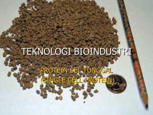 teknologi bioindustri