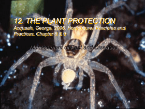 IX. The Plant Protection
