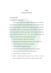 7 BAB II TINJAUAN PUSTAKA 2.1 Cacing Tanah 2.1.1 Klasifikasi