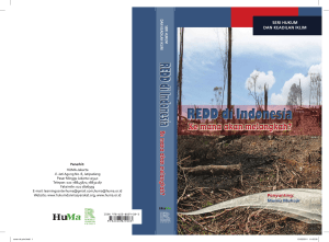 REDD di Indonesia - Epistema Institute