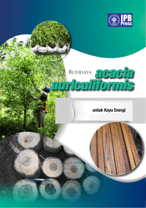 acacia auriculiformis - Balai Besar Penelitian Bioteknologi dan