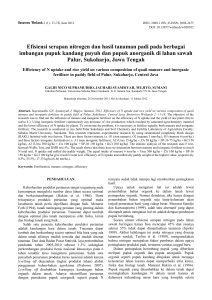Efisiensi serapan nitrogen dan hasil tanaman padi pada
