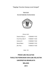 "Segitiga Terumbu Karang (coral triangel)" PRODI ILMU KELAUTAN