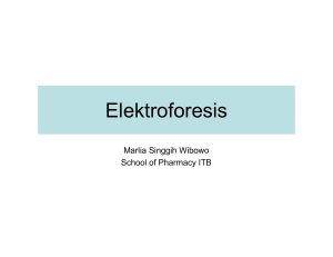 Elektroforesis - WordPress.com