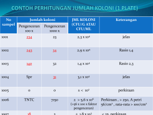 No sampel Jumlah koloni JML KOLONI (CFU/G ATAU CFU/ML