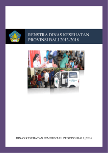 RENSTRA DINAS KESEHATAN PROVINSI BALI 2013-2018