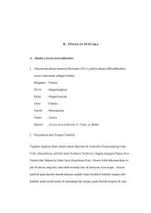 II. TINJAUAN PUSTAKA A. Akasia ( Acacia auriculiformis) 1