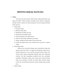 SISTEM GERAK MANUSIA