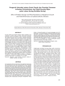 Pengaruh Interaksi antara Dosis Pupuk dan Populasi Tanaman