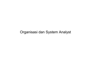 Organisasi dan System Analyst